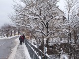 DSCN0839